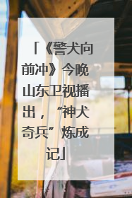 《警犬向前冲》今晚山东卫视播出，“神犬奇兵”炼成记