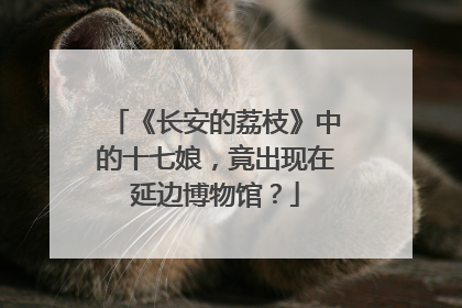 《长安的荔枝》中的十七娘，竟出现在延边博物馆？