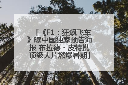 《F1：狂飙飞车》曝中国独家预告海报 布拉德・皮特携顶级大片燃爆暑期