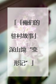 「俺们的驻村故事」深山坳“变形记”