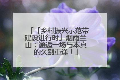 「乡村振兴示范带建设进行时」烟雨兰山：邂逅一场与本真的久别重逢！