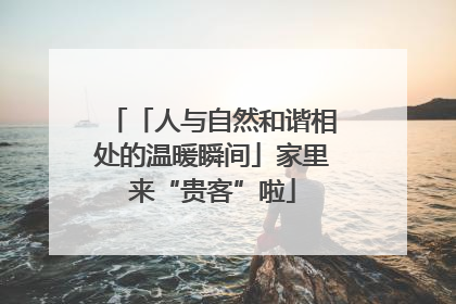 「人与自然和谐相处的温暖瞬间」家里来“贵客”啦