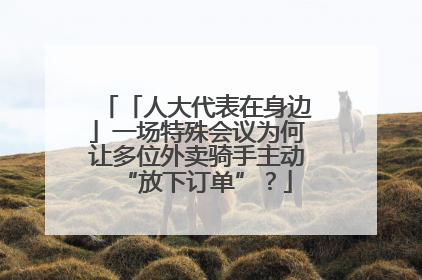 「人大代表在身边」一场特殊会议为何让多位外卖骑手主动“放下订单”？