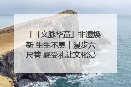「文脉华章」非遗焕新 生生不息｜漫步六尺巷 感受礼让文化浸润的“巷”往生活