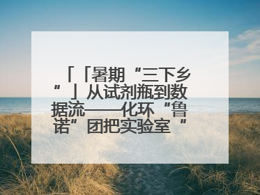 「暑期“三下乡”」从试剂瓶到数据流——化环“鲁诺”团把实验室“搬”回家乡，点亮桑梓求知路