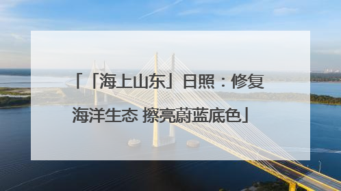 「海上山东」日照：修复海洋生态 擦亮蔚蓝底色
