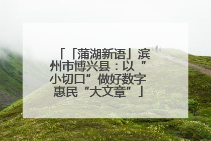 「蒲湖新语」滨州市博兴县：以“小切口”做好数字惠民“大文章”