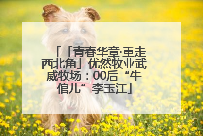 「青春华章·重走西北角」优然牧业武威牧场：00后“牛倌儿”李玉江