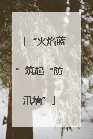 “火焰蓝”筑起“防汛墙”