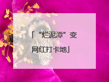 “烂泥潭”变网红打卡地