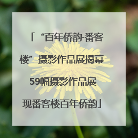 “百年侨韵·番客楼”摄影作品展揭幕 59幅摄影作品展现番客楼百年侨韵