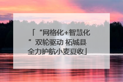 “网格化+智慧化”双轮驱动 柘城县全力护航小麦夏收