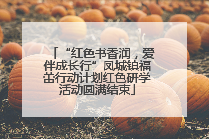 “红色书香润，爱伴成长行”凤城镇福蕾行动计划红色研学活动圆满结束