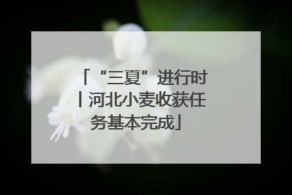 “三夏”进行时丨河北小麦收获任务基本完成