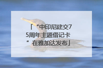 “中印尼建交75周年主题借记卡”在雅加达发布