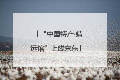 “中国特产·靖远馆”上线京东