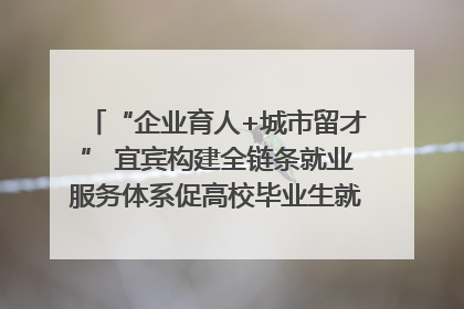 “企业育人+城市留才” 宜宾构建全链条就业服务体系促高校毕业生就业｜您牵挂的四川