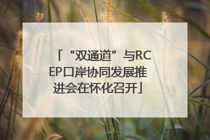 “双通道”与RCEP口岸协同发展推进会在怀化召开