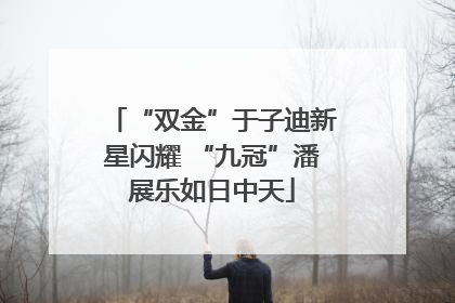 “双金”于子迪新星闪耀 “九冠”潘展乐如日中天