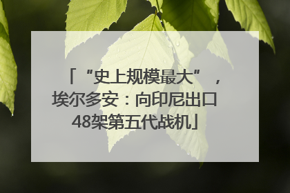 “史上规模最大”，埃尔多安：向印尼出口48架第五代战机