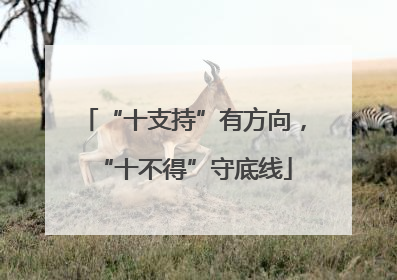 “十支持”有方向，“十不得”守底线