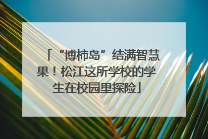 “博柿岛”结满智慧果！松江这所学校的学生在校园里探险