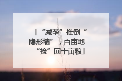 “减垄”推倒“隐形墙”，百亩地“捡”回十亩粮