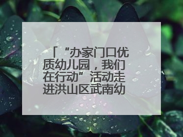 “办家门口优质幼儿园，我们在行动”活动走进洪山区武南幼儿园童趣园