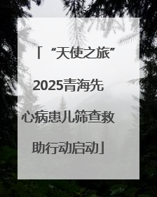 “天使之旅”2025青海先心病患儿筛查救助行动启动