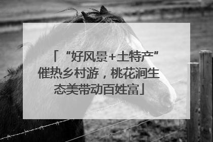 “好风景+土特产”催热乡村游，桃花涧生态美带动百姓富