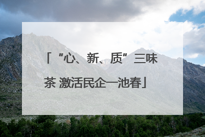 “心、新、质”三味茶 激活民企一池春