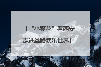 “小葵花”看西安走进丝路欢乐世界