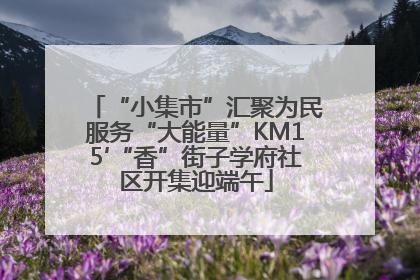 “小集市”汇聚为民服务“大能量”KM15′“香”街子学府社区开集迎端午