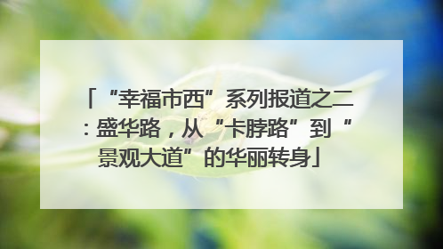 “幸福市西”系列报道之二：盛华路，从“卡脖路”到“景观大道”的华丽转身