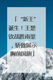 “新王”诞生！王楚钦战胜雨果，骄傲展示胸前国旗