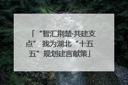 “智汇荆楚·共建支点” 我为湖北“十五五”规划建言献策