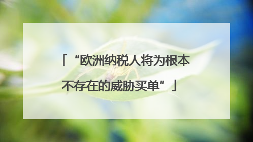 “欧洲纳税人将为根本不存在的威胁买单”