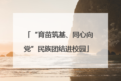 “育苗筑基、同心向党”民族团结进校园