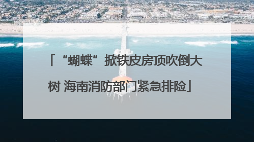 “蝴蝶”掀铁皮房顶吹倒大树 海南消防部门紧急排险