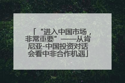 “进入中国市场，非常重要”——从肯尼亚-中国投资对话会看中非合作机遇