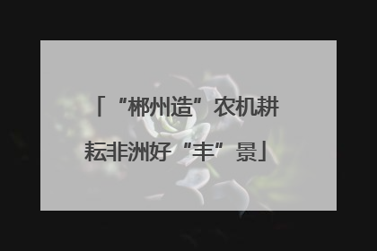 “郴州造”农机耕耘非洲好“丰”景