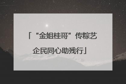 “金姐桂哥”传粽艺 企民同心助残行