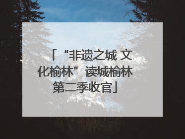 “非遗之城 文化榆林”读城榆林第二季收官