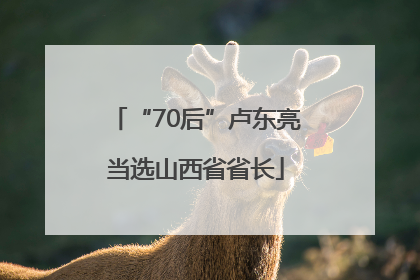 “70后”卢东亮当选山西省省长