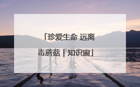 珍爱生命 远离毒蘑菇｜知识窗