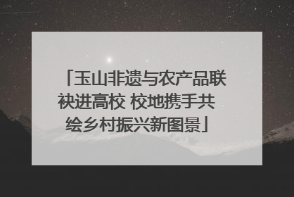 玉山非遗与农产品联袂进高校 校地携手共绘乡村振兴新图景