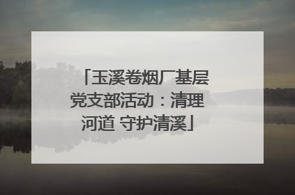 玉溪卷烟厂基层党支部活动：清理河道 守护清溪