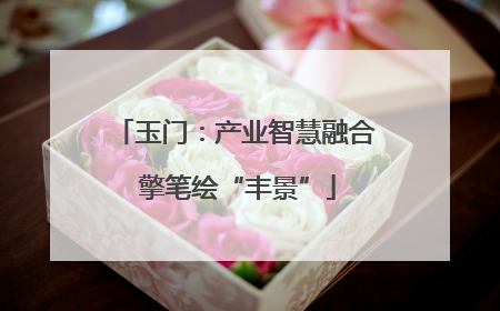 玉门：产业智慧融合 擎笔绘“丰景”
