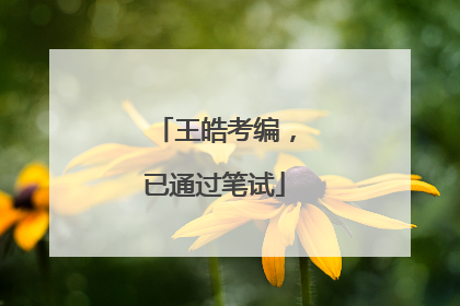 王皓考编，已通过笔试