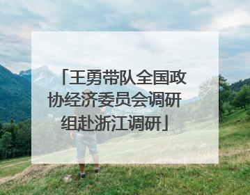 王勇带队全国政协经济委员会调研组赴浙江调研